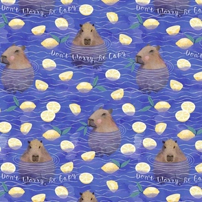 Capybara swimming with lemons medium scale