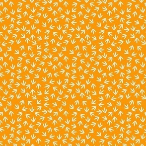 Pumpkin Patches Blender Orange