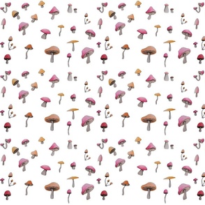 mushrooms pattern