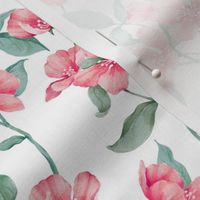 Sakura Blossom RS