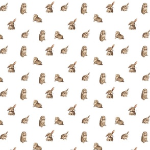 Rabbit pattern