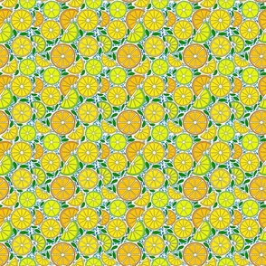 Colourful citrus pattern