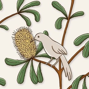 Wattlebird Banksia - cream