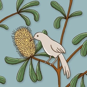 Wattlebird Banksia - sky