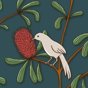 Wattlebird Banksia - midnight teal