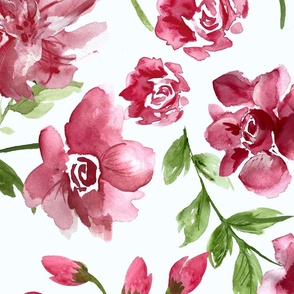 Pink Watercolor brush stroke florals, roses, large, Jumbo, 