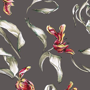 Jumbo Tulips | Gull Grey Background