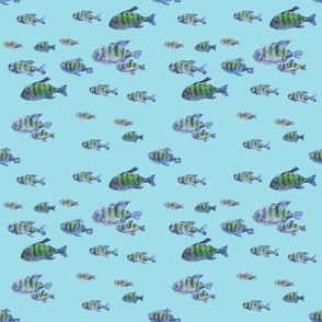 Fish under water