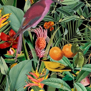 Tropical Jungle Fruit Garden With Parrots On Black