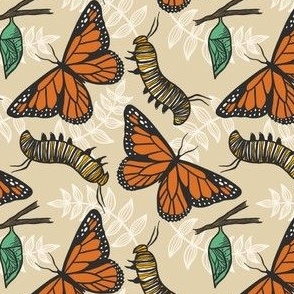 Monarch Butterfly Metamorphosis