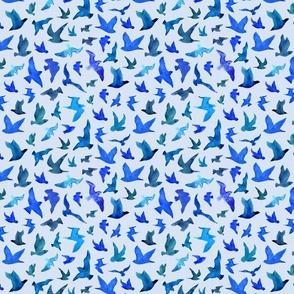 Medium Scale "Sky Call" in Bluebird 