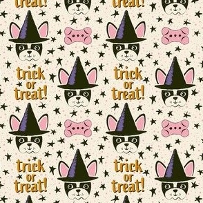 Dog Trick or Treat White Pink Directional