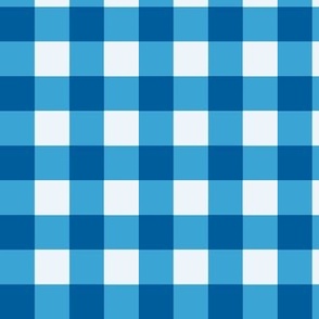 Pantone Ultra Steady Gingham