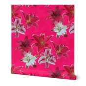 Lilies on Pink