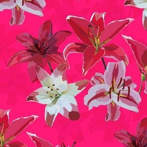Lilies on Pink