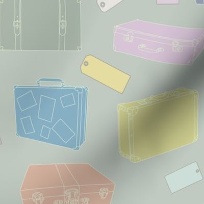 Luggage Suitcases 