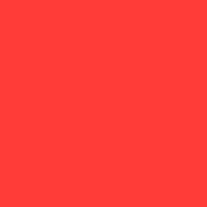 Let’s party solid bright red scarlet  solid plain 