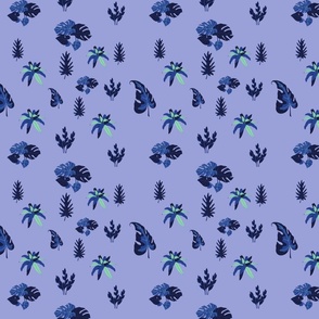 Blue flowervine (1)