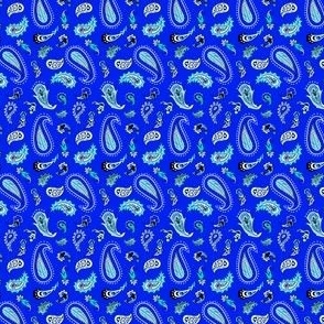 Brittany's Paisley Fabric for Baking