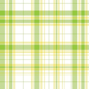 Plaid option 1a4 in light yellow and lime green2 on white 200 .4