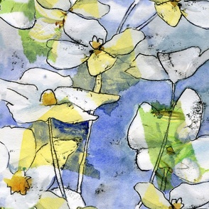 Summer Fresh Watercolor Floral Watercolor White flowers on blue background