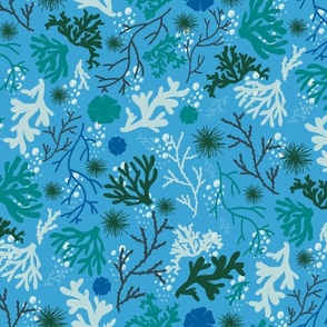 Coral Garden on Blue