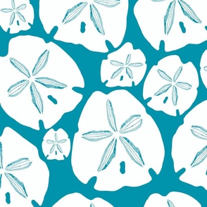Simply Sand Dollars on Turquoise Blue