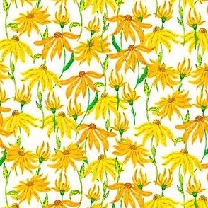Watercolor Painted Yellow Black-eyed Susan flower field on beige white