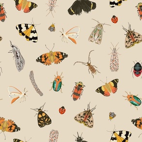 Painted Australian Insects: Butterfly, Bee, Moth, Beetle, Ladybird & Caterpillar / Beige / 18in