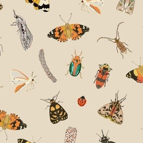 Painted Australian Insects: Butterfly, Bee, Moth, Beetle, Ladybird & Caterpillar / Beige / 10.5"