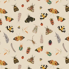 Painted Australian Insects: Butterfly, Bee, Moth, Beetle, Ladybird & Caterpillar / Beige / 6"