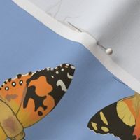 Painted Australian Insects: Butterfly, Bee, Moth, Beetle, Ladybird & Caterpillar / Hydrangea Serenity Blue / 18in