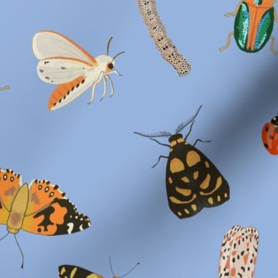 Painted Australian Insects: Butterfly, Bee, Moth, Beetle, Ladybird & Caterpillar / Hydrangea Serenity Blue / 18in