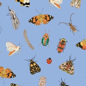 Painted Australian Insects: Butterfly, Bee, Moth, Beetle, Ladybird & Caterpillar / Hydrangea Serenity Blue / 10.5"