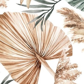 Large Scale / Dried Palm Leaves / Updated Version / White Background