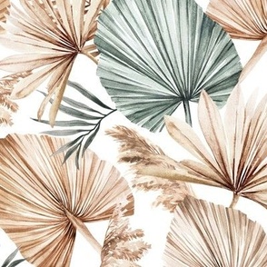 Medium Scale / Dried Palm Leaves / Updated Version / White Background