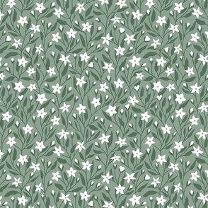 Jasmine flowers in green and white medium