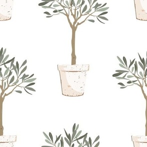 olive_white_potted