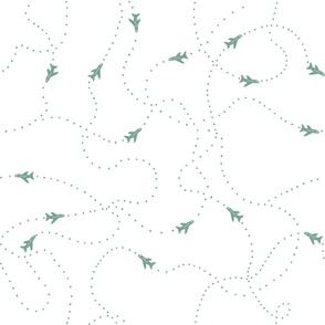 Teal Airplane Flight Paths on White