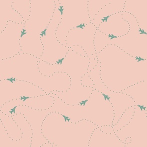 Airplane Flight Paths Teal on Pale Dogwood Pink