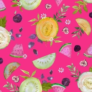 Summer Melons Watercolor// Hot Pink