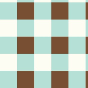 aqua tan check gingham-01