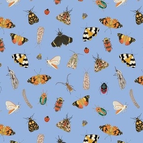 Painted Australian Insects: Butterfly, Bee, Moth, Beetle, Ladybird & Caterpillar / Hydrangea Serenity Blue / 6in