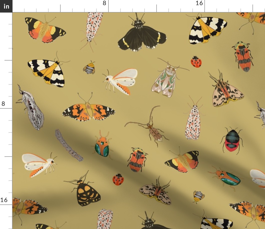 Insects on Olive Oil / Large Scale 18"