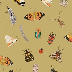 Painted Australian Insects: Butterfly, Bee, Moth, Beetle, Ladybird & Caterpillar / Olive Oil Honey Yellow / 10.5"