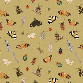 Painted Australian Insects: Butterfly, Bee, Moth, Beetle, Ladybird & Caterpillar / Olive Oil Honey Yellow / 6in