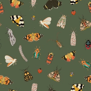 Painted Australian Insects: Butterfly, Bee, Moth, Beetle, Ladybird & Caterpillar / Forest Night Green / 18in