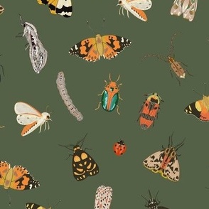 Painted Australian Insects: Butterfly, Bee, Moth, Beetle, Ladybird & Caterpillar / Forest Night Green / 10.5"