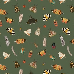 Painted Australian Insects / Butterfly, Bee, Moth, Beetle, Ladybird & Caterpillar / Forest Night Green / / 6"