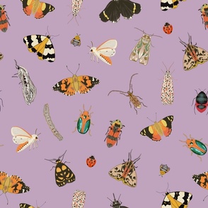 Painted Australian Insects / Butterfly, Bee, Moth, Beetle, Ladybird & Caterpillar / Pale Sparkling Grape Lilac /  18"